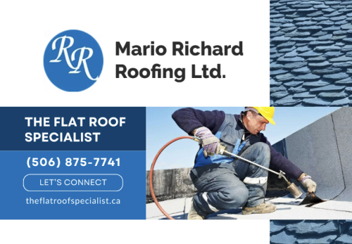 Image for Mario Richard Roofing ltd with ID of: 6582000