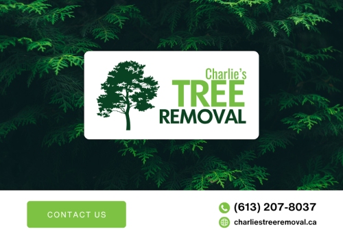 Image for Charlie's Tree Removal with ID of: 6582623