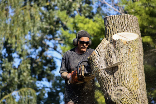 Image for Charlie's Tree Removal with ID of: 6582628