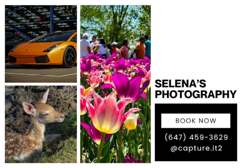 Image for Selena's Photography with ID of: 6582640