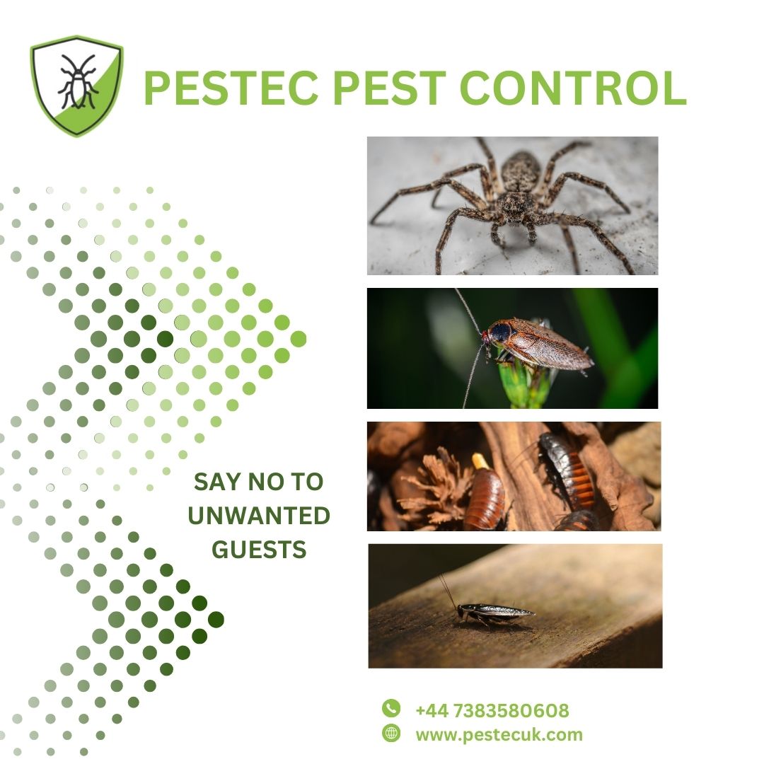 Image for Pestec Pest Control with ID of: 6583781