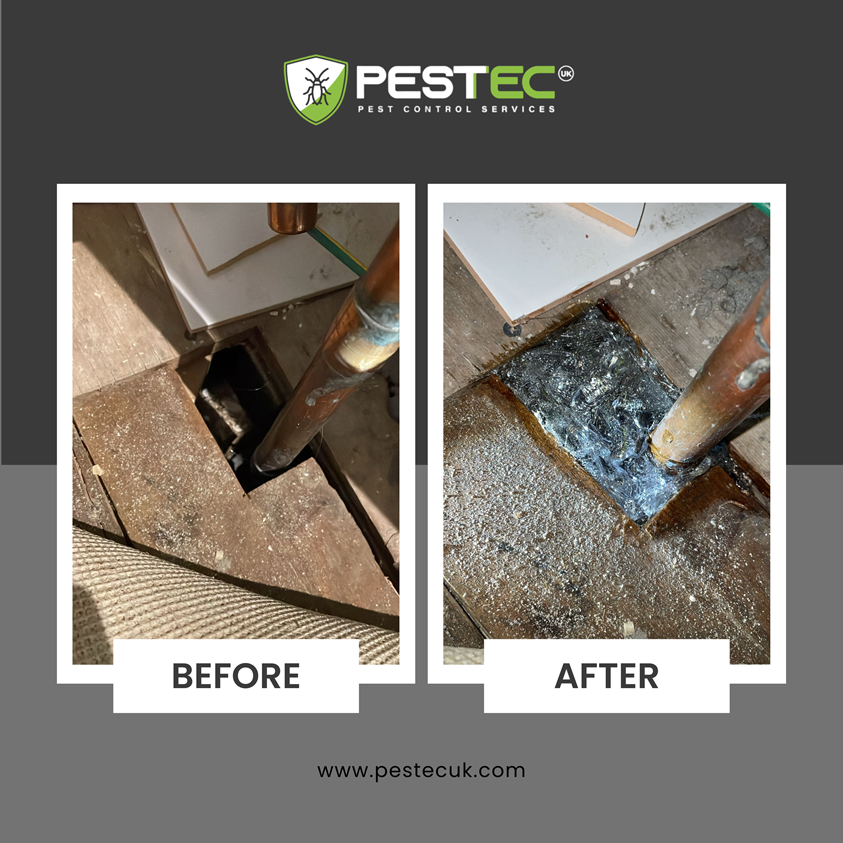 Image for Pestec Pest Control with ID of: 6583782