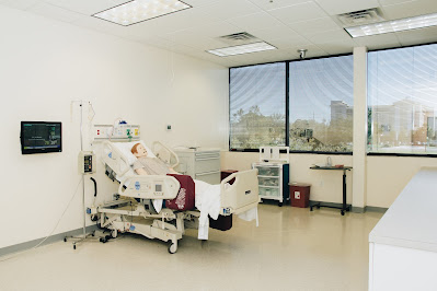 Image for Jersey College with ID of: 6583837