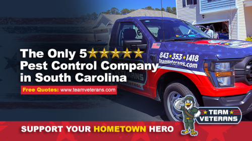 Image for Team Veterans Pest Control with ID of: 4267257