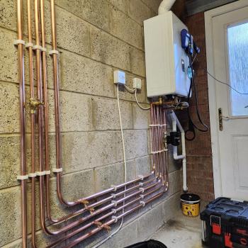 Image for MPH Boilers with ID of: 6586713