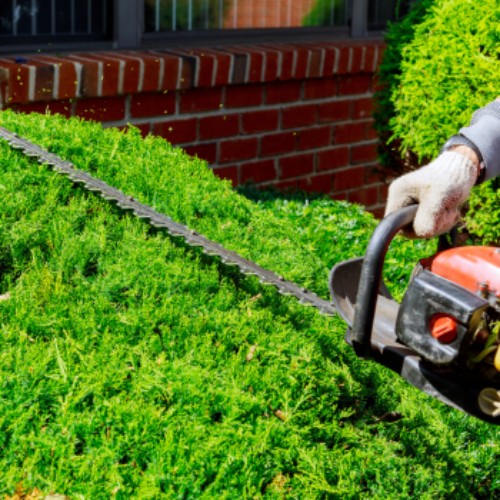 Image for Vazquez Landscaping with ID of: 6586902