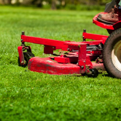 Image for Vazquez Landscaping with ID of: 6587071