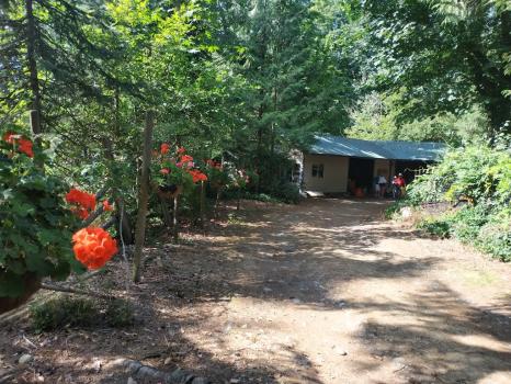Image for Weller's Blueberry Farm with ID of: 6587245