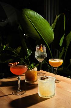 Image for Chimba with ID of: 6587332