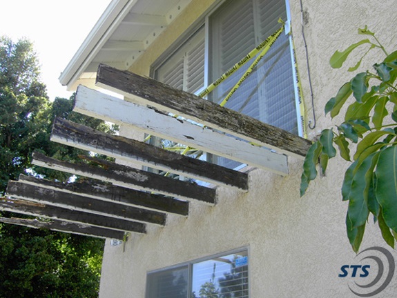 Image for Springer Termite Solutions, Inc. with ID of: 686702