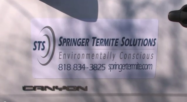 Image for Springer Termite Solutions, Inc. with ID of: 686704