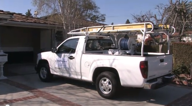 Image for Springer Termite Solutions, Inc. with ID of: 686705