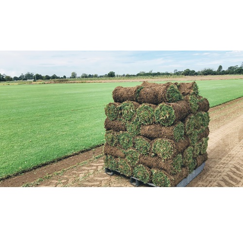 Image for Rivers Edge Turf Pty Ltd with ID of: 6590309