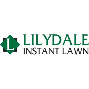 Image for Lilydale Instant Lawn with ID of: 6869341