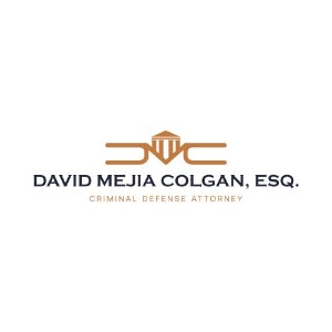 Image for David Mejia Colgan, Esq. with ID of: 6869906
