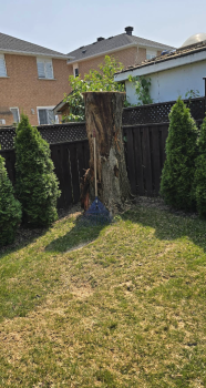 Image for Ultra Property Services with ID of: 6592355