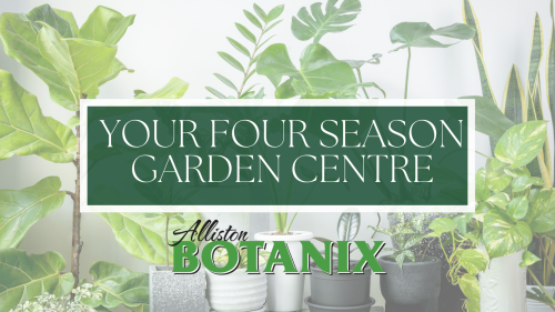 Image for Alliston Botanix with ID of: 6593281