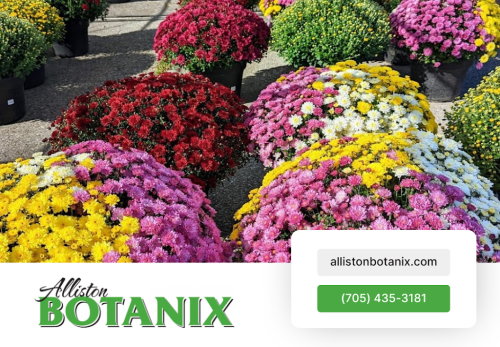 Image for Alliston Botanix with ID of: 6593284