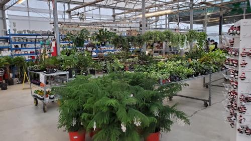 Image for Alliston Botanix with ID of: 6593287
