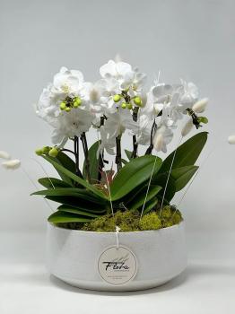 Image for Floba Flower Boutique with ID of: 6593504