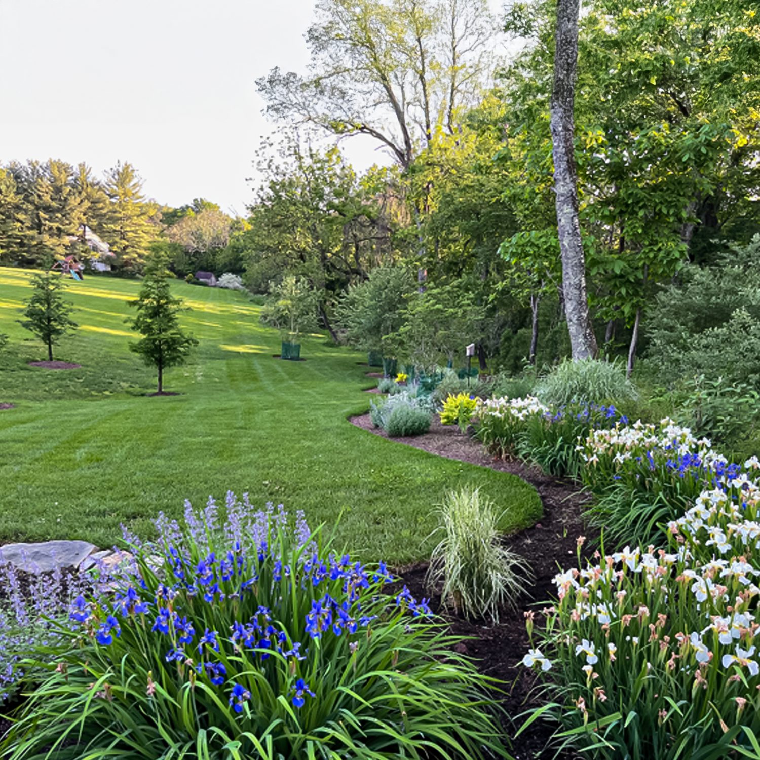Image for Artistic Landscape Features with ID of: 6595377