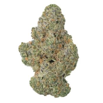 Image for THCa Store with ID of: 6596160