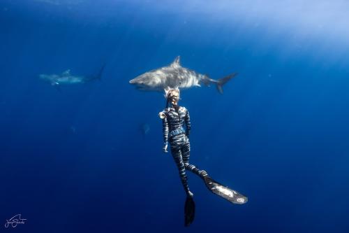 Image for One Ocean Diving with ID of: 6596639