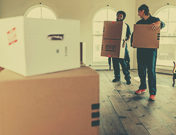 Image for YNT Moving & Hauling with ID of: 6596984