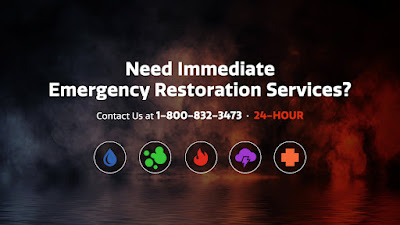 Image for Fireservice Emergency Disaster Response with ID of: 6598895