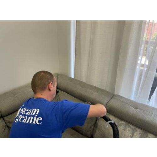 Image for Steam Geanie Carpet Cleaning Services with ID of: 6599506