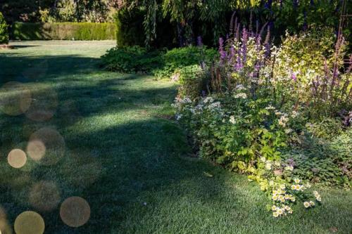 Image for Divine Gardens with ID of: 6599725