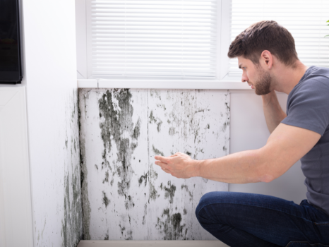 Image for ClearClaim Adjusters Inc. (Ontario) with ID of: 6599944