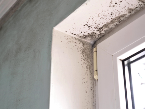 Image for ClearClaim Adjusters Inc. (Ontario) with ID of: 6599945