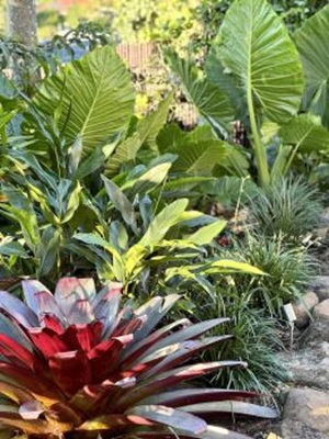 Image for Habitat Landscape Design with ID of: 6600246