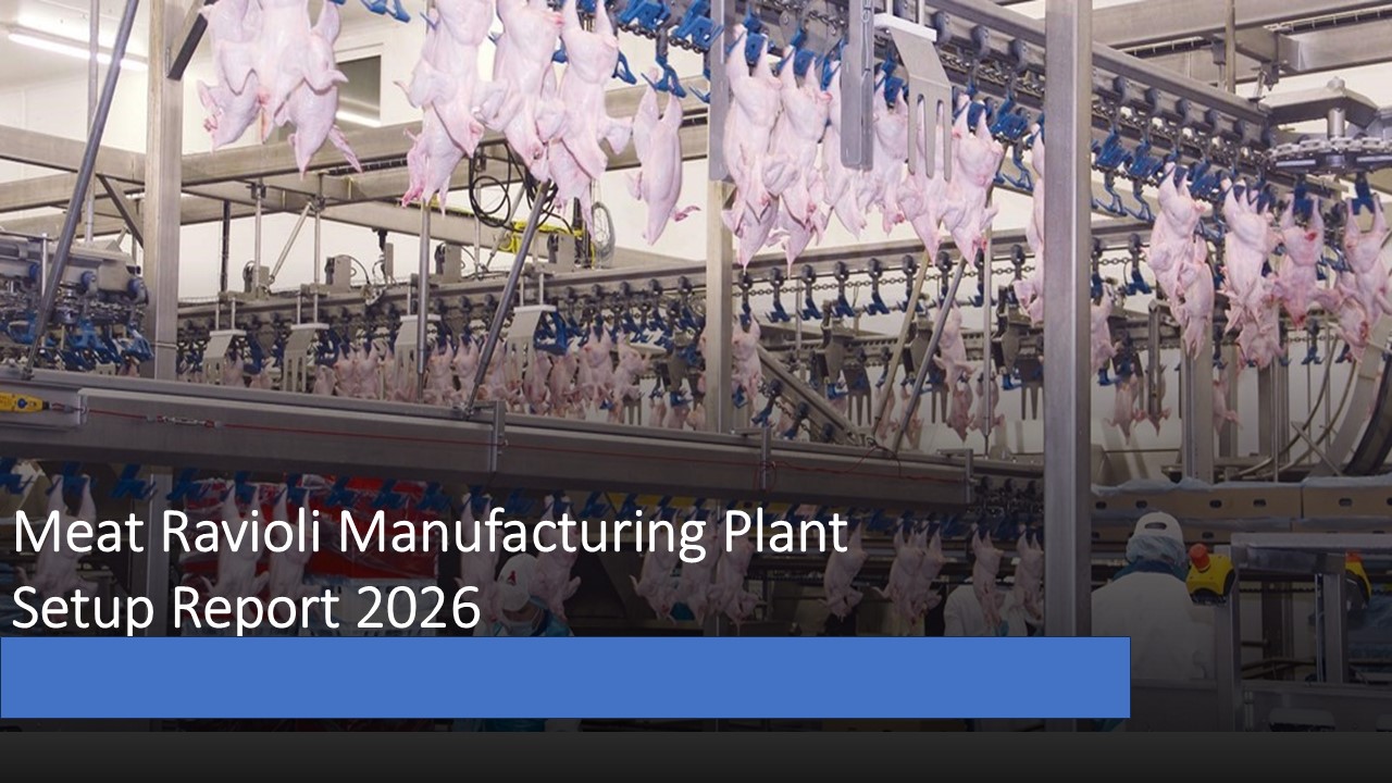 Image for Meat Ravioli Manufacturing Plant Setup Cost 2026: Feasibility Study and Profit Analysis with ID of: 6871715