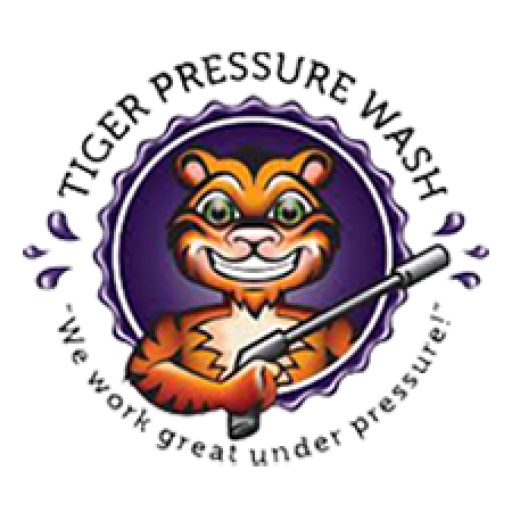 Image for Tiger Pressure Wash with ID of: 6873300