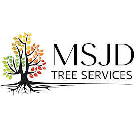 Image for MSJD Services with ID of: 6874572