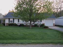 Image for Liqui Green Tree & Turf Care with ID of: 687486
