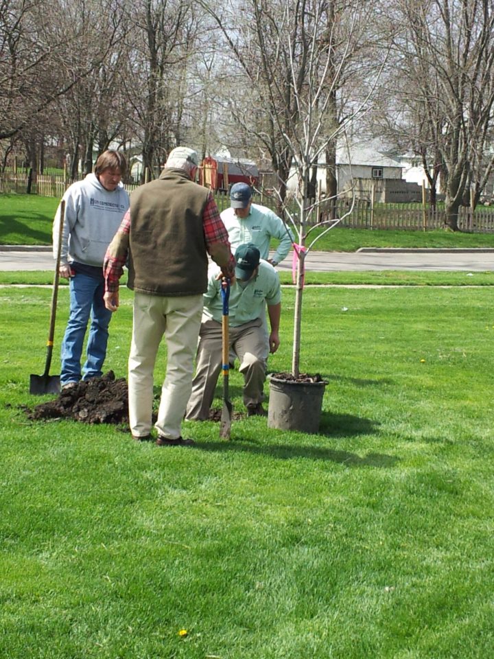 Image for Liqui Green Tree & Turf Care with ID of: 687487