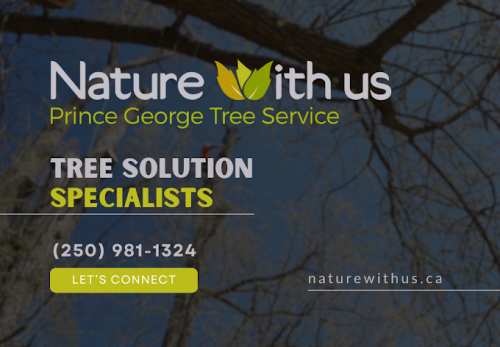 Image for Nature With Us with ID of: 6604921