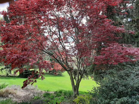 Image for Nature With Us with ID of: 6604926