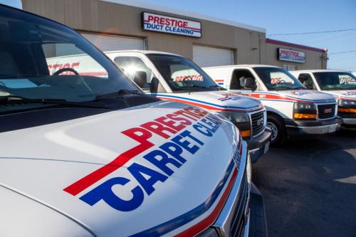 Image for Prestige Carpet Cleaning with ID of: 6333206
