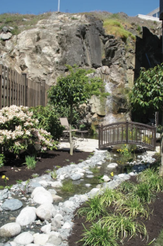 Image for Eucalyptus Tree Service Landscaping & Design with ID of: 6605381