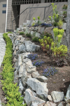 Image for Eucalyptus Tree Service Landscaping & Design with ID of: 6605383