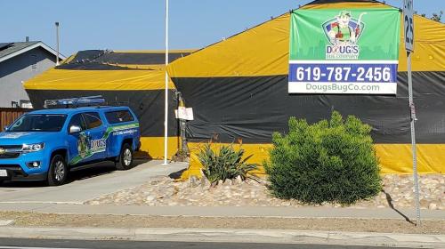 Image for Doug's Bug Company with ID of: 6605911