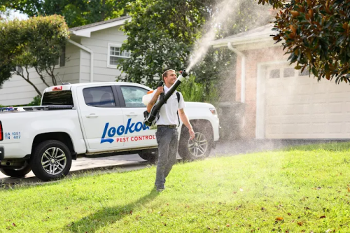 Image for Lookout Pest Control with ID of: 6605941