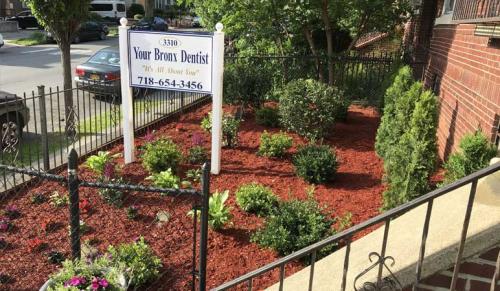 Image for Your Bronx Dentist with ID of: 6608910