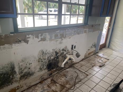 Image for Gulf Coast Mold Assessing & Remediation with ID of: 6610250