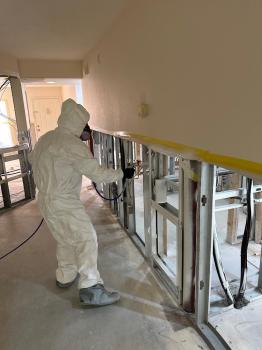 Image for Gulf Coast Mold Assessing & Remediation with ID of: 6610253