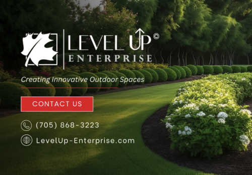 Image for Level up Enterprise with ID of: 6610392